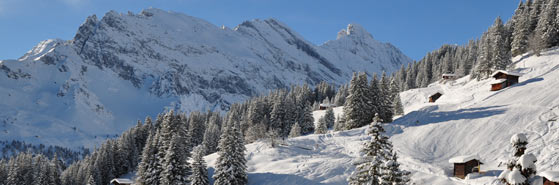 Alps photos